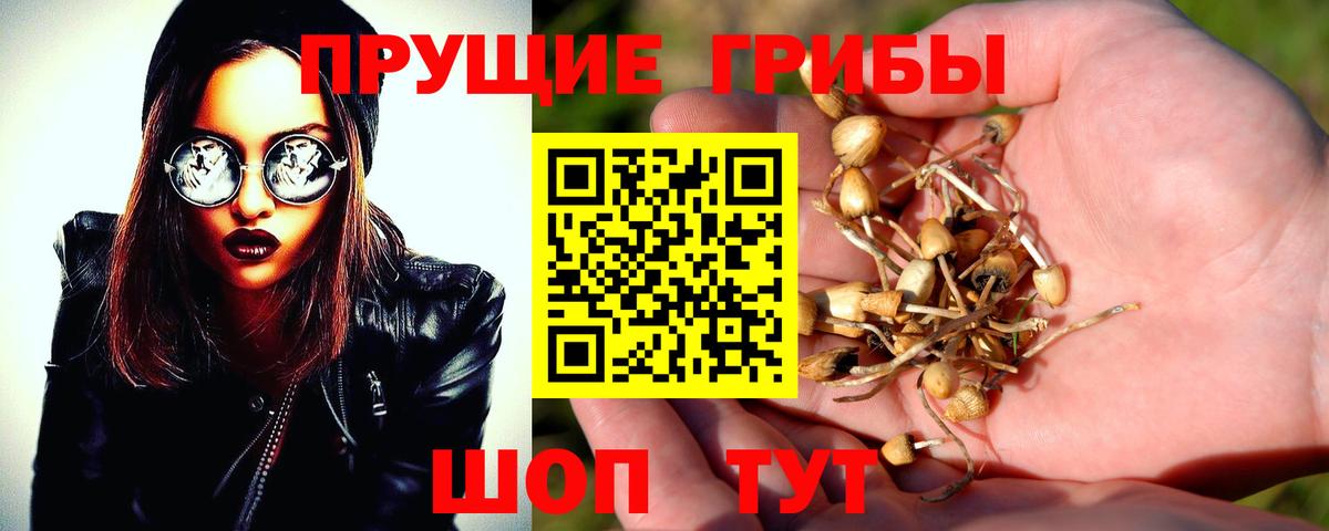 Галлюциногенные грибы Psilocybine cubensis  Вход с VPN  Донецк 